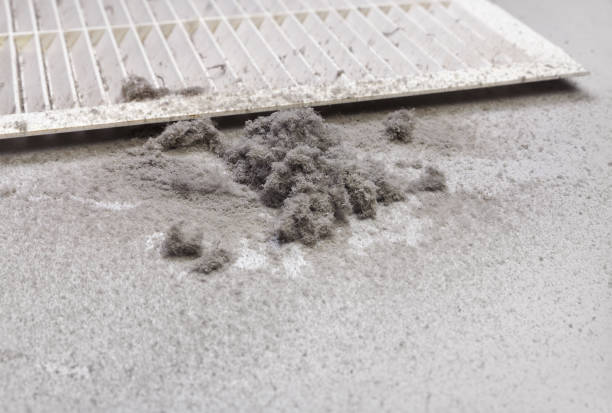 Best Ventilation Cleaning Services  in Kent Estates, IA