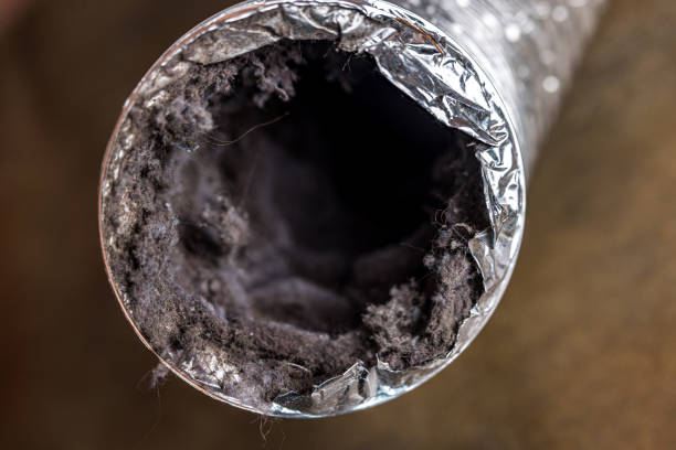 Best Air Duct Cleaning Near Me in IA